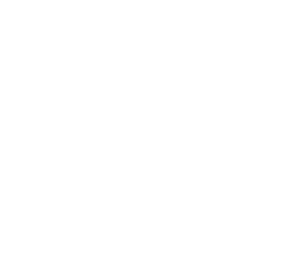 Publicis